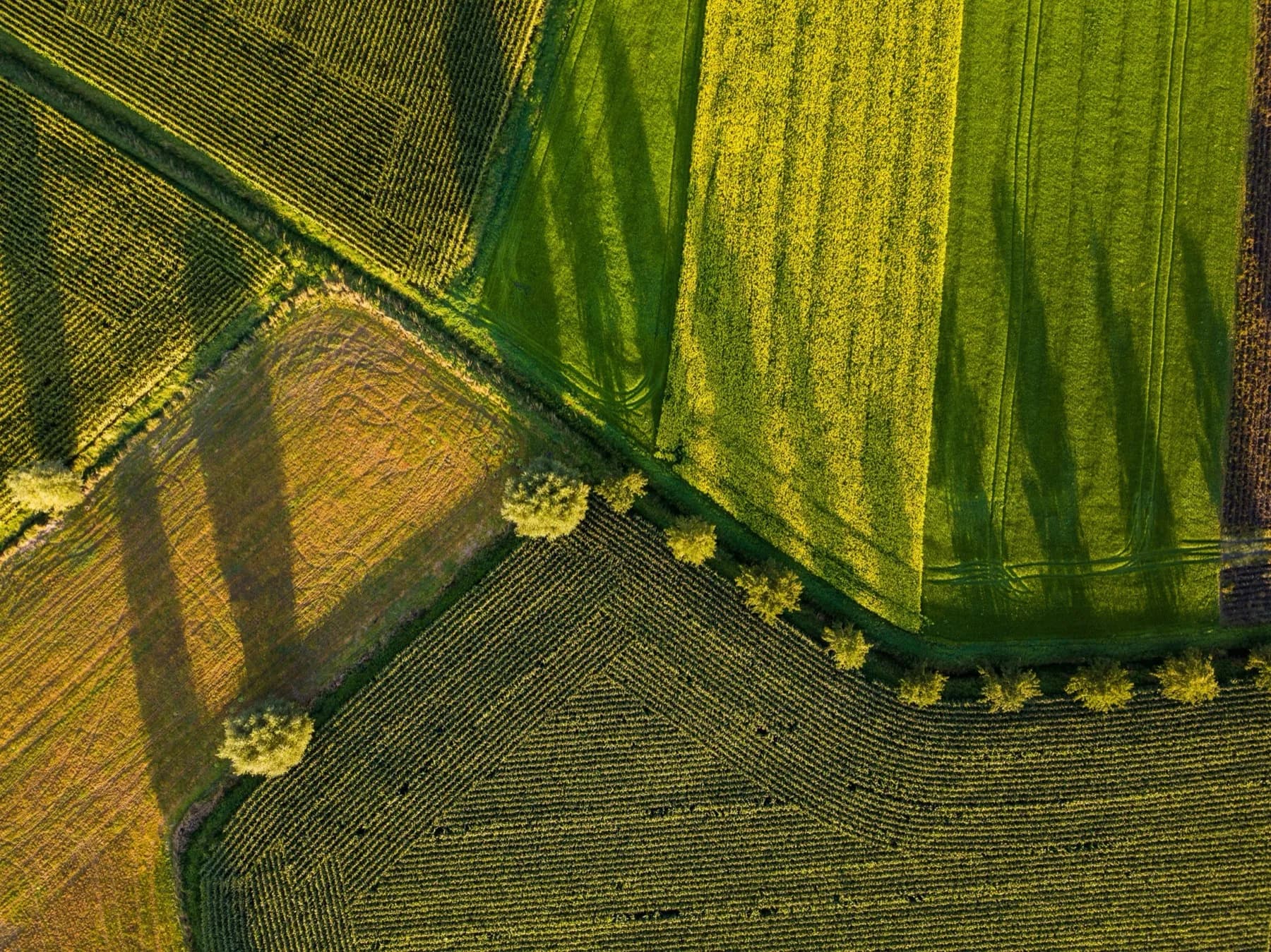 Agriculture & Industry